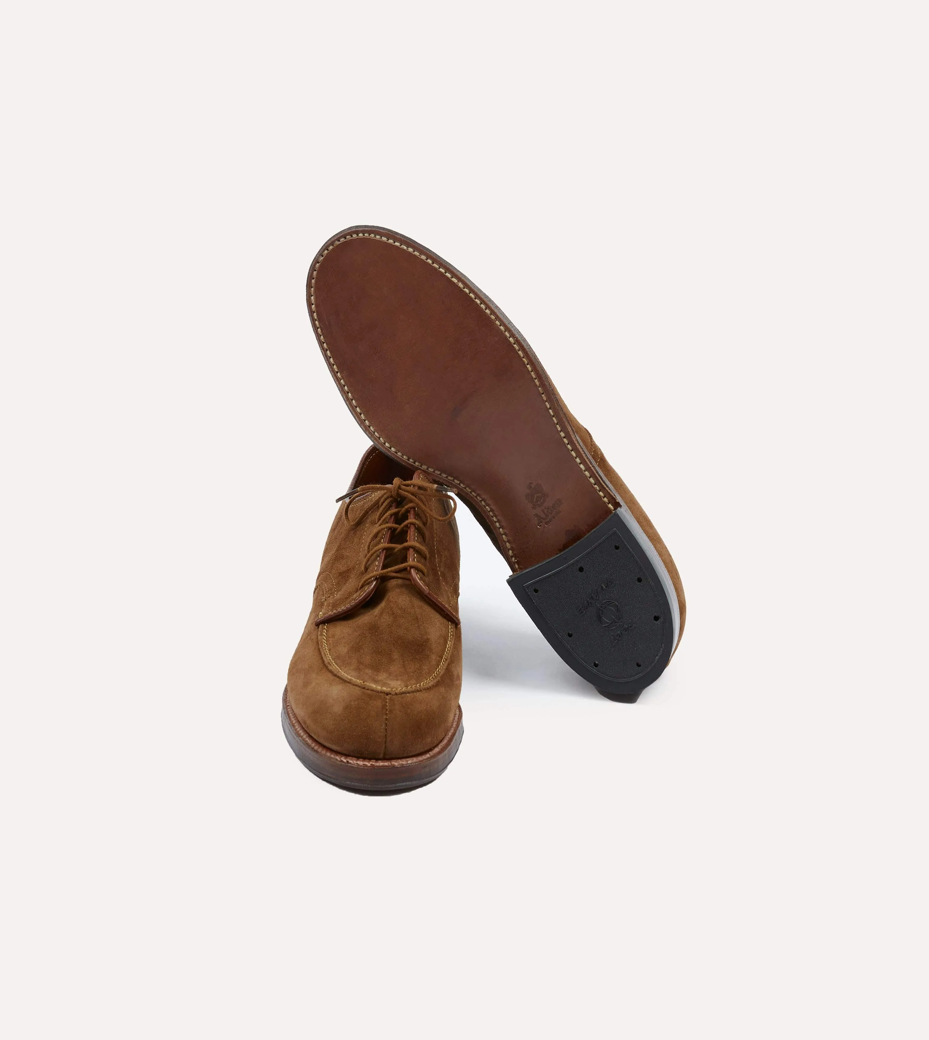 Alden Snuff Suede Algonquin Blucher