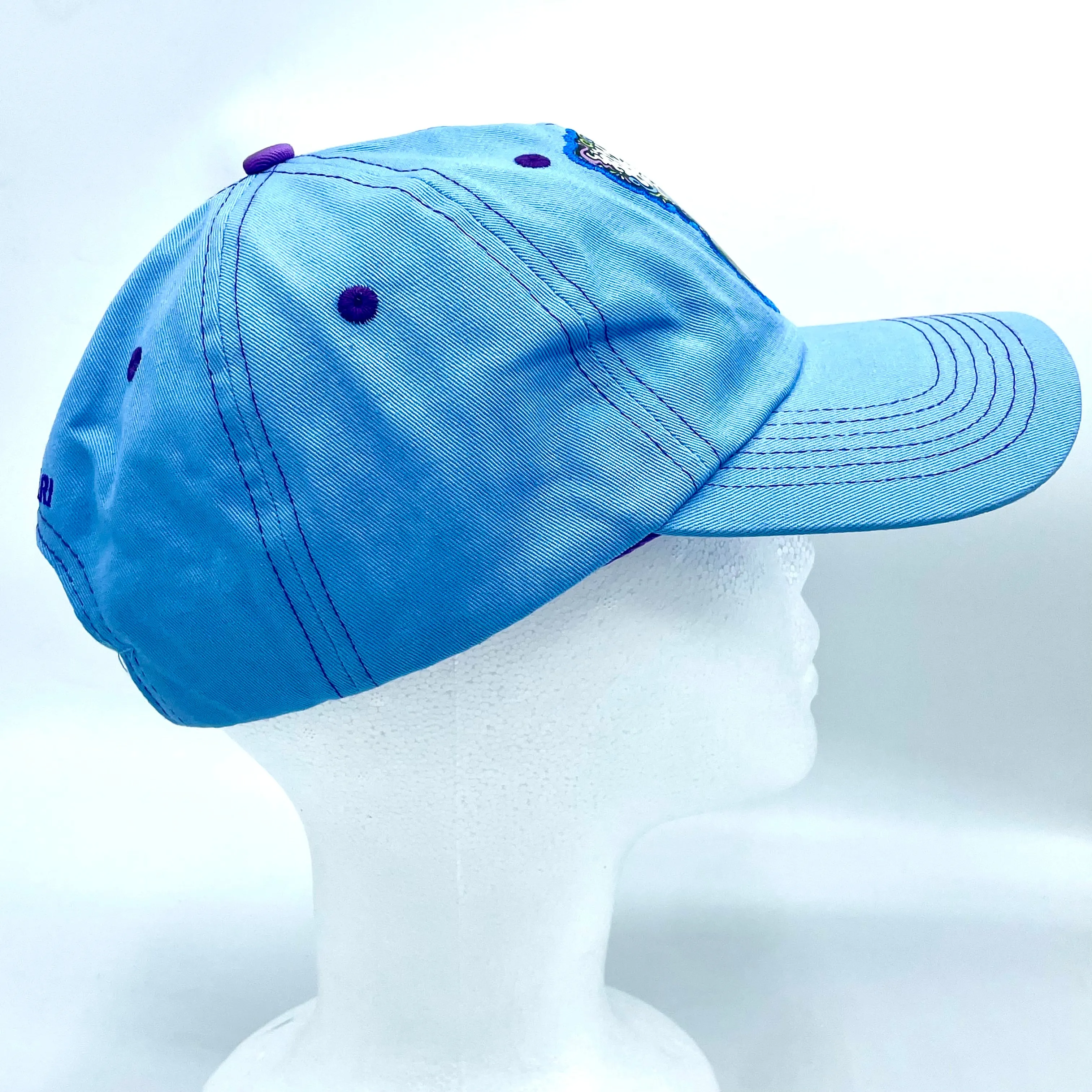 Blueberry Dad Hat